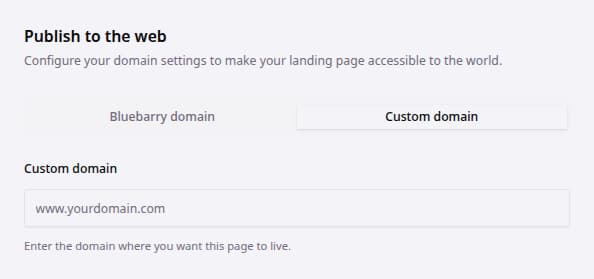Custom domain setup before a domain is entered.