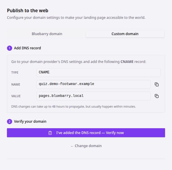 Custom domain settings with DNS verification instructions.