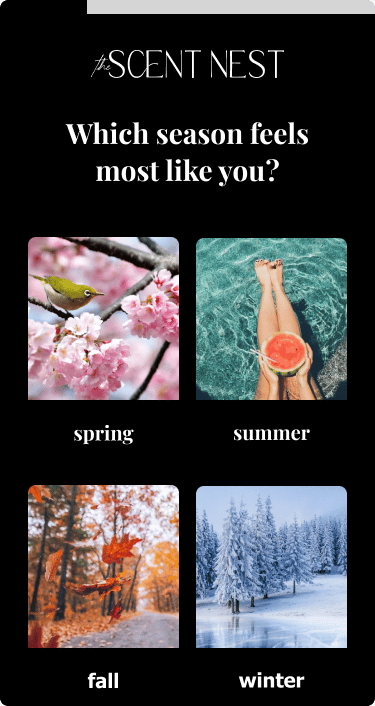 Scent Nest Product Quiz hero image