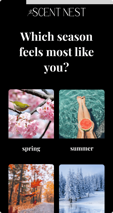 Scent Nest quiz question page